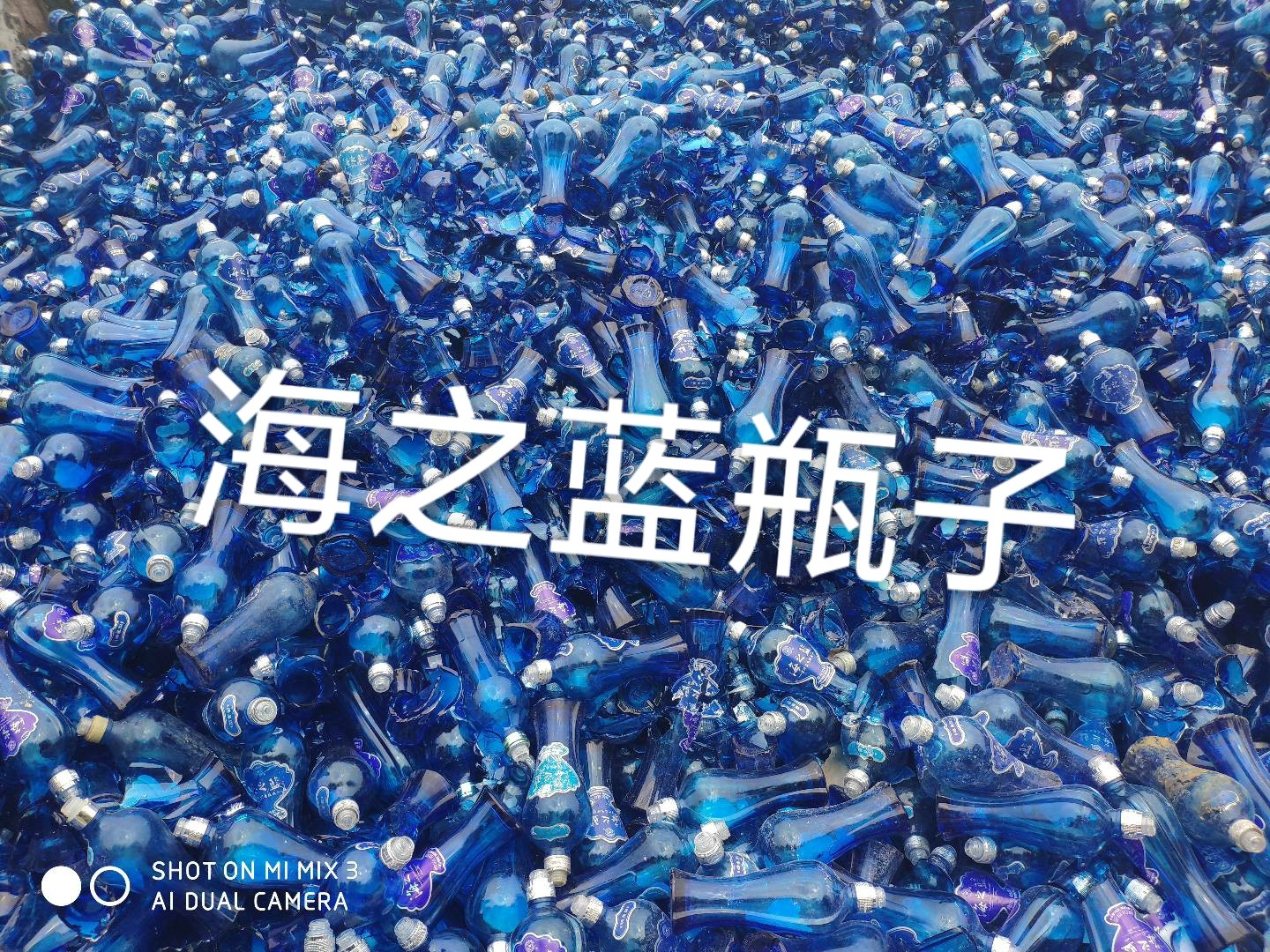 靖江海之蓝瓶回收